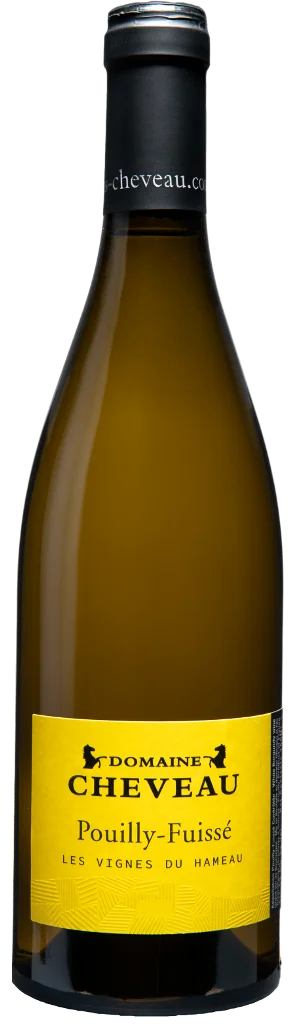 Bouteille de Domaine Cheveau 2024