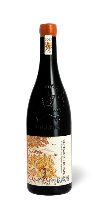 Bouteille de Domaine Mayard 2023